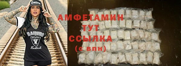 молекула духа Елизово