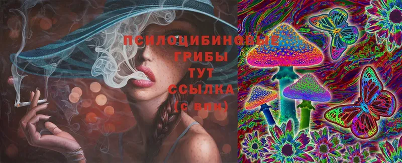 Галлюциногенные грибы Magic Shrooms  Сим 