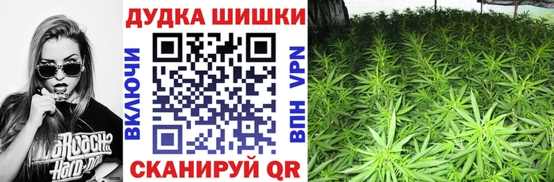 сколько стоит  Сим  Шишки марихуана планчик 